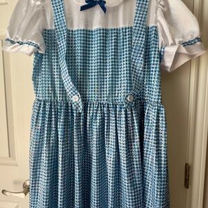 Dorothy Wizard of Oz Blue and White Checked Dress